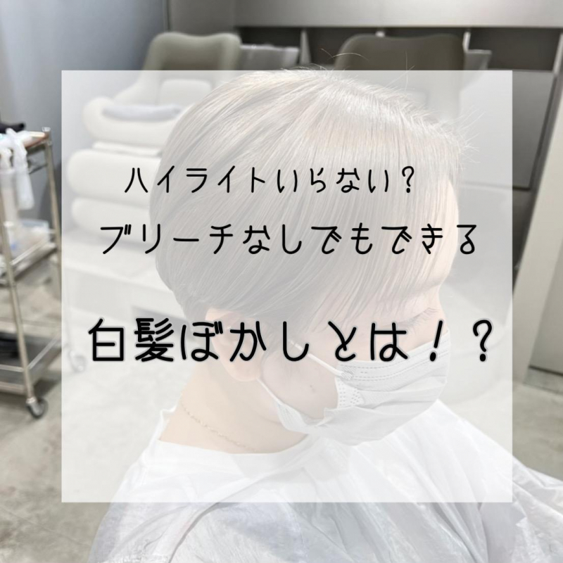 【ハイライトの必要なし！】ブリーチしなくてもできる白髪ぼかしとは？施術画像も紹介◎