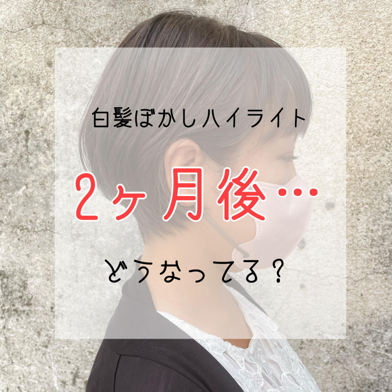 【2ヶ月後はどうなる？】白髪ぼかしハイライトのメリット・デメリットを洗足の美容院が解説◎