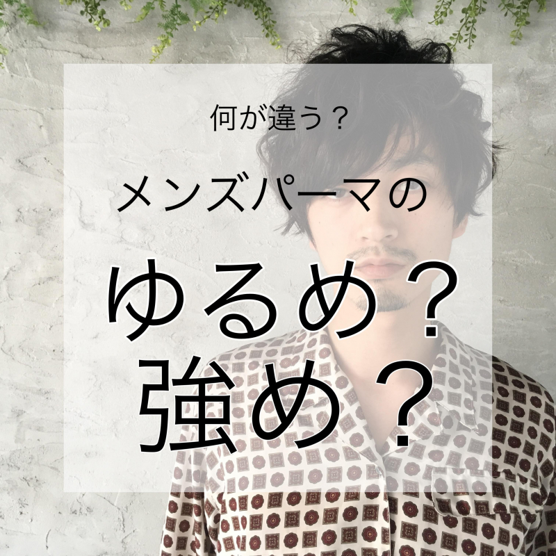 【画像で比較】メンズパーマのゆるめと強めの違いとは？メンズさんに好評の洗足の美容院が解説します◎