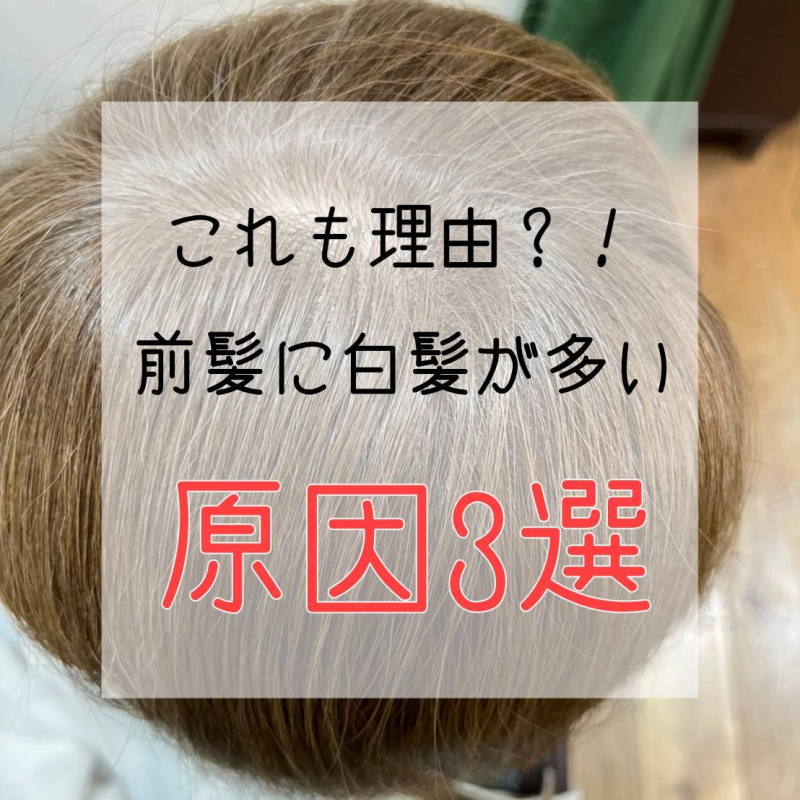 【理由があった！】前髪に白髪が多い原因とは？脱白髪染めが得意な洗足の美容院が解説◎