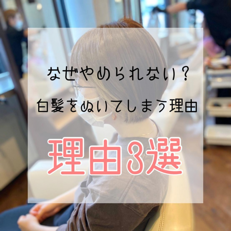 【白髪を抜くのがやめられない】その理由は3つありました。脱白髪染めが得意な洗足の美容院が紹介◎